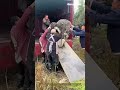 Worker Herds Big Ostrich Into Truck at Farm