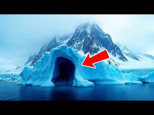 (未使用･未開封品)　Plays Bach in Antarctica lok26k6 Scientists Solved the Mystery of Antarctica's Strange Doorway