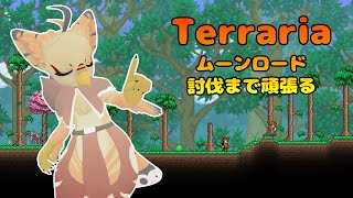 【ケモノ系VTuber】ムーンロード絶対倒す #3【Terraria】