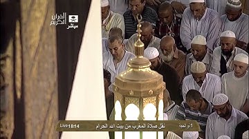 سورة التين الشيخ عبد الرحمن السديس