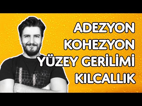 Video: Yüzey gerilimi kavramı nedir?