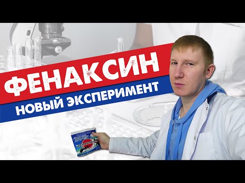 Как ФЕНАКСИН убивает КЛОПОВ? (эксперимент)