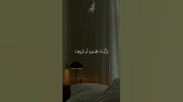 سورة التوبة | القارئ : #عبدالرحمن_مسعد #quran #راحة_نفسية #viral #foryou #اجر_لي_ولكم 🤍.