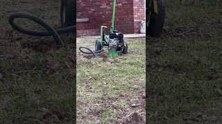 Mole control #pestcontrol #pestcontrolservice #pest... #Shorts #jp.field.tested
