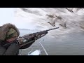 Hunting Serbia - Duck Hunting | Lov na divlje patke - Dunav zima |Caccia alle anatre |Jagd Wildenten