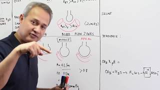 Ventilation Perfusion Ratio