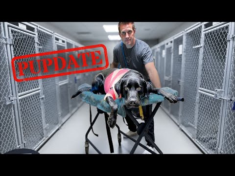 She’s out of surgery…