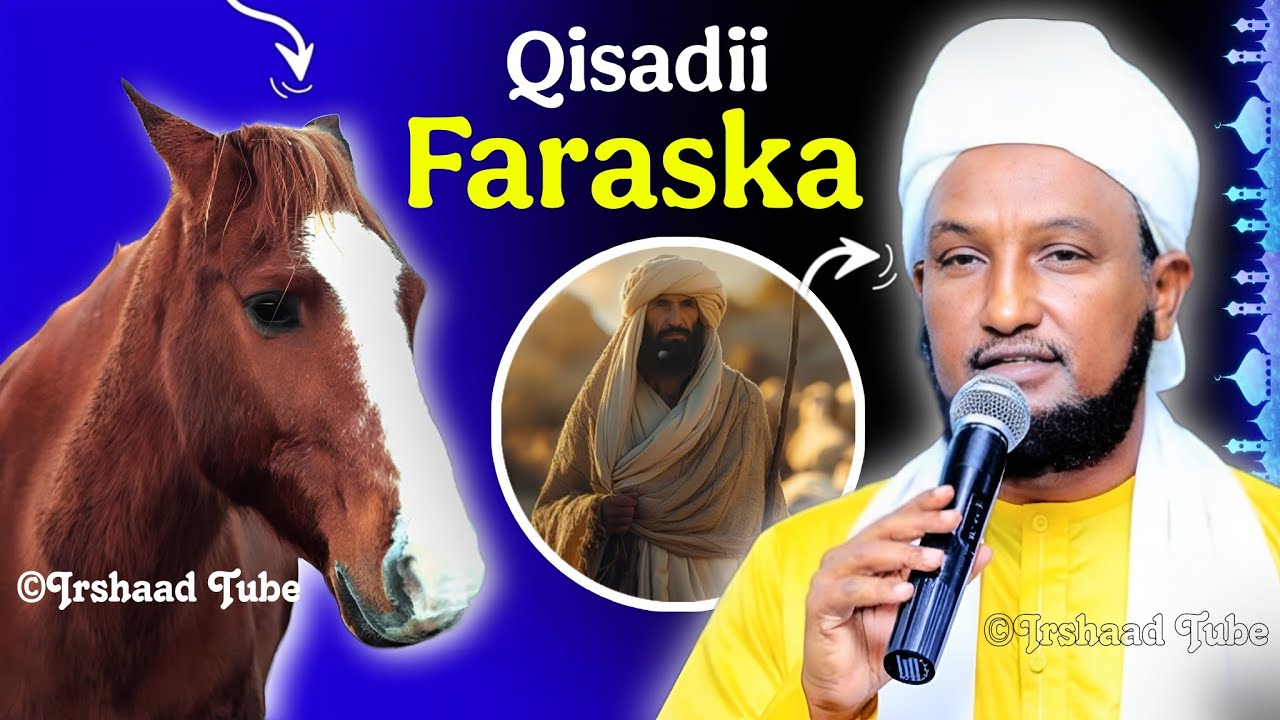 Qisadii Faraska iyo Ninkii iibsaday┇Qiso Kucibro Qaadasho Mudan ᴴᴰ┇► Sheekh Xuseen Djibouti