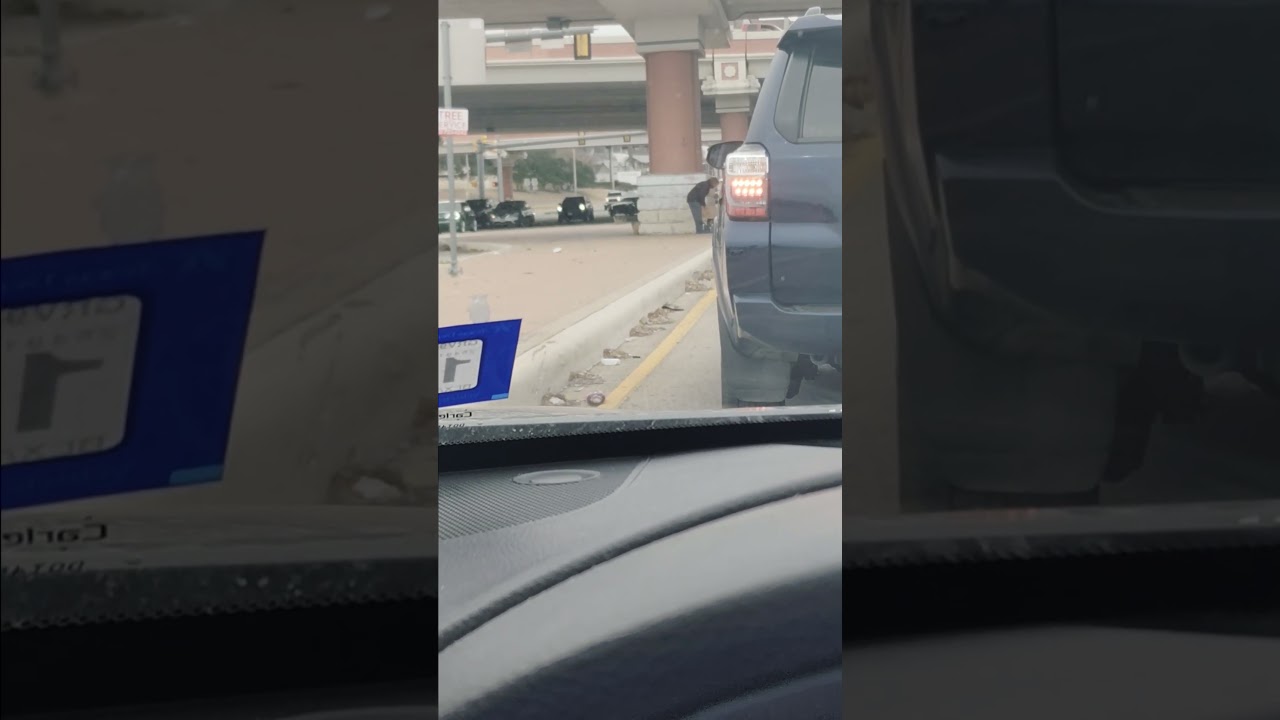 жена Элмера Фадда