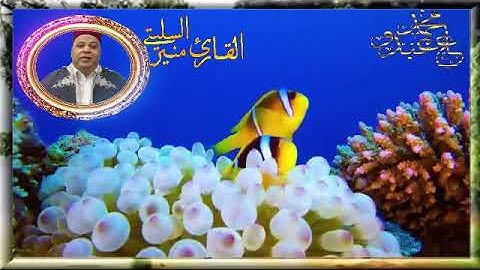سورة الحشر    -* قالون عن نافع المدني -- الشيخ منير السليتي