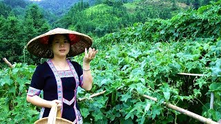 农村姑娘冒雨都要去摘的这种瓜你们那里有种吗？是吃还是留囊用呢