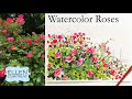 Watercolor Roses Tutorial