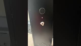 Brand New Gun Safe From KaerWorld 😂😂