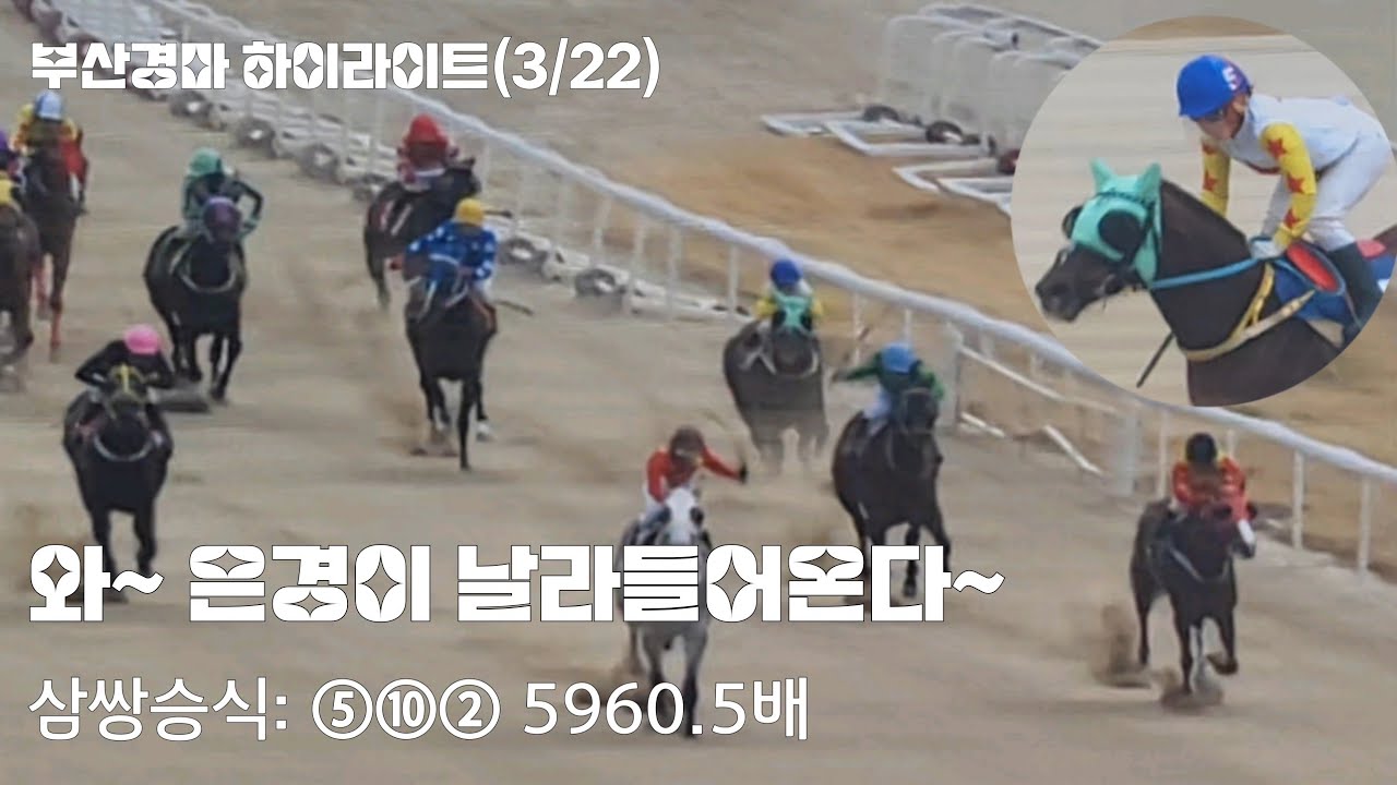 터질판으로 봤지? 싸그리 마차볼께!(3/22 일요부산1경주 하이라이트)