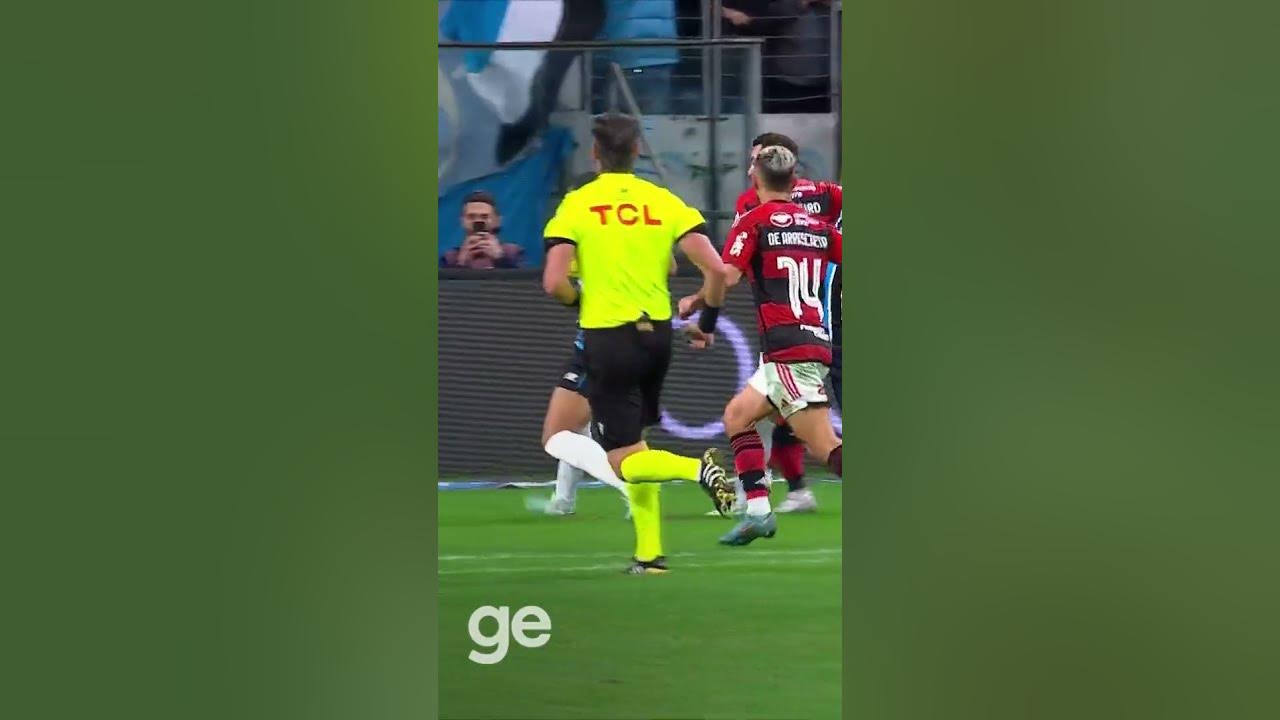 Gato invade Maracanã e rouba a cena em Flamengo x Grêmio; veja