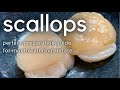 【How to prepare Hotate Scallops】Secret recipe of high-end Sushi Master's Preparation【寿司職人のホタテの仕込み】