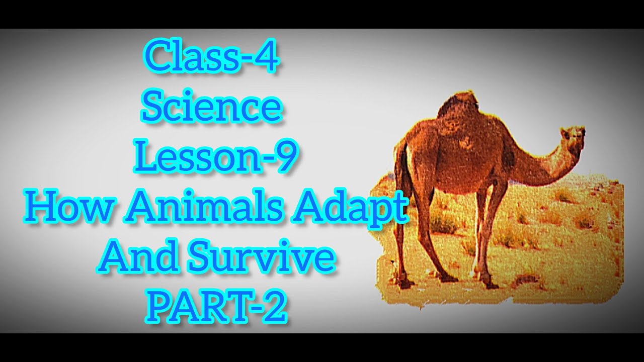 Class-4 | Science Lesson-9 How Animals Survive and Adapt | Part-2 ...