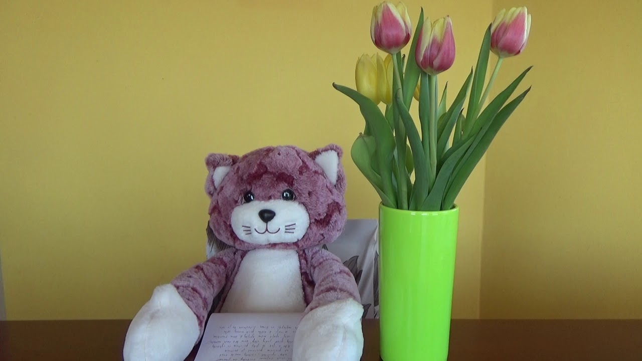 Cvičný diktát pro 2. třídu