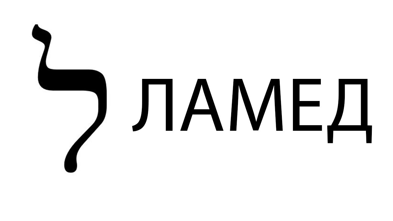 Ламед Алматы Интернет Магазин