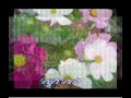 透明人間 ハモリバージョン