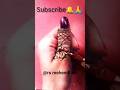 very unique mehendi design🥰 #shorts #short #viralvideo #shortsvideo #how to RS mehendi art #bridal