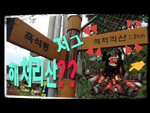 저그 해처리산? 황당한 이정표!