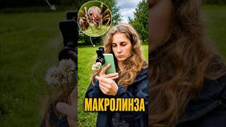 Линза за 900₽ — лайфхак или нищебродство?)) #macro #insects
