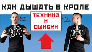 видео: КАК ДЫШАТЬ В КРОЛЕ. ОШИБКИ ТВОЕГО ДЫХАНИЯ. СОВЕТЫ ТРЕНЕРА картинка: КАК ДЫШАТЬ В КРОЛЕ. ОШИБКИ ТВОЕГО ДЫХАНИЯ. СОВЕТЫ ТРЕНЕРА