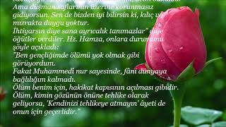 Mesnevi de geçen hikâyeler - Hz  Hamza'nın zırhsız savaşa girmesi