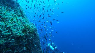 Lost in the blue  - Malta