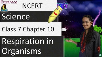NCERT Class 7 Science Chapter 10: Respiration in Organisms (NSO/NSTSE) | English