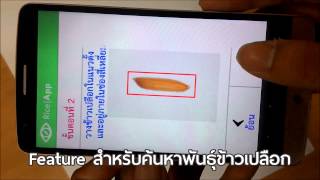 Rice App : application for searching a type of paddy rice and counting amount of broken rice screenshot 5