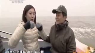 20150305 远方的家 江河万里行（214）——汉江：沉湖湿地观越冬候鸟