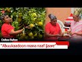 Ooltee Bultee Abuukaadoon Mana Naaf Ijaare Ebc Etv Afaan Oromoo Oduu Etv Afaan Oromoo Ooltee Bultee Abuukaadoon Mana Naaf Ijaare Ebc Etv Afaan Oromoo Oduu Etv Afaan Oromoo