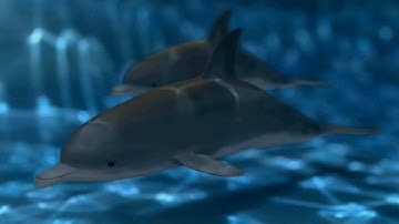 T-Splines 2.0 for Rhino tutorial: Modeling a dolphin Part 3