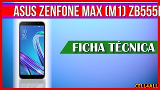 Asus ZenFone Max (M1) ZB555KL
