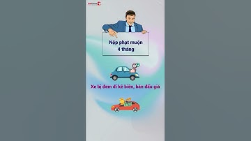Quá Hạn Nộp Phạt Giao Thông, Có Lấy Lại Được Xe Và Bằng Lái? #shorts  | LuatVietnam