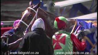 20171027 Greyville Race 5 won by STREET LIFE