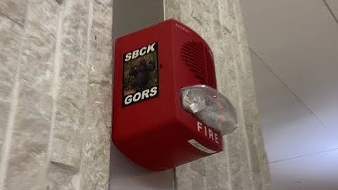 Somewhat vandalized simplex truealert speaker strobe