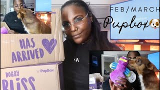 February/March PupBox🥰🐩
