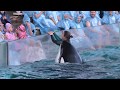 ◆鴨川シーワールド シャチパフォーマンス(2019.10.20)15:00~ ◆【4K60P】