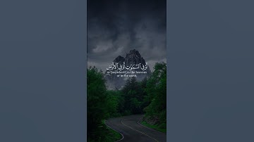 يَا بُنَيَّ إِنَّهَا إِن تَكُ مِثْقَالَ حَبَّةٍ مِّنْ خَرْدَلٍ ،،، القارئ ياسر الزيلعي،،