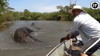 Lagi Asyik Mancing, Warga Malah Kaget Melihat Penampakan Ular Raksasa Sungai Amazon!