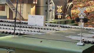 Elevated G Scale Train Layout In The Back Yard! 10/24/21