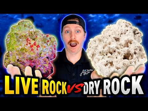 Live Rock VS Dry Rock: Which is BETTER for Your Reef Tank?