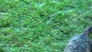 5-19-2011 010.avi