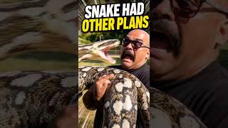 Snake Had Other Plans… Handler Panicked 😳 #Shorts #funnyanimals #petfails