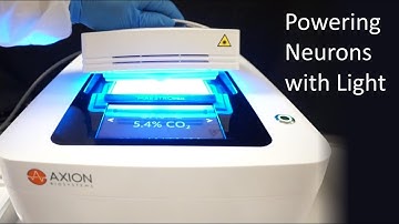 Powering Neurons with Light | Optogenetics and the Maestro multielectrode array (MEA) system