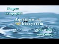 Запуск аквариума. Обо всём понемногу.