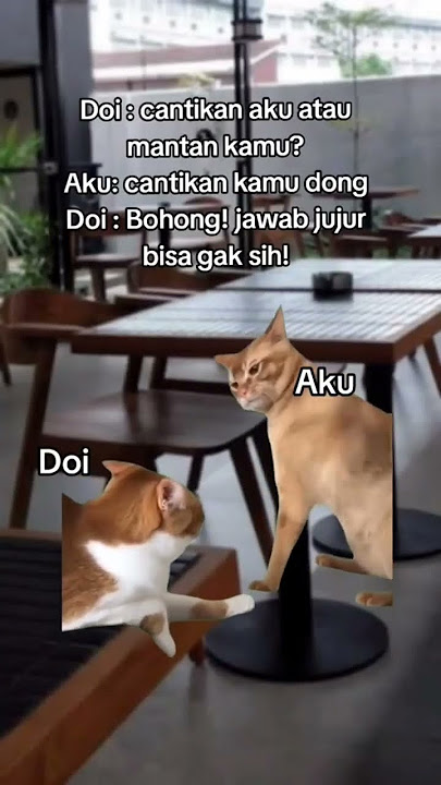 yang sering terjadi , jawab jujur salah itulah wanita #lucu #lucungakak #kucing #hiburan #kocak